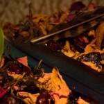 IMG_0209