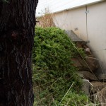 Landscape2